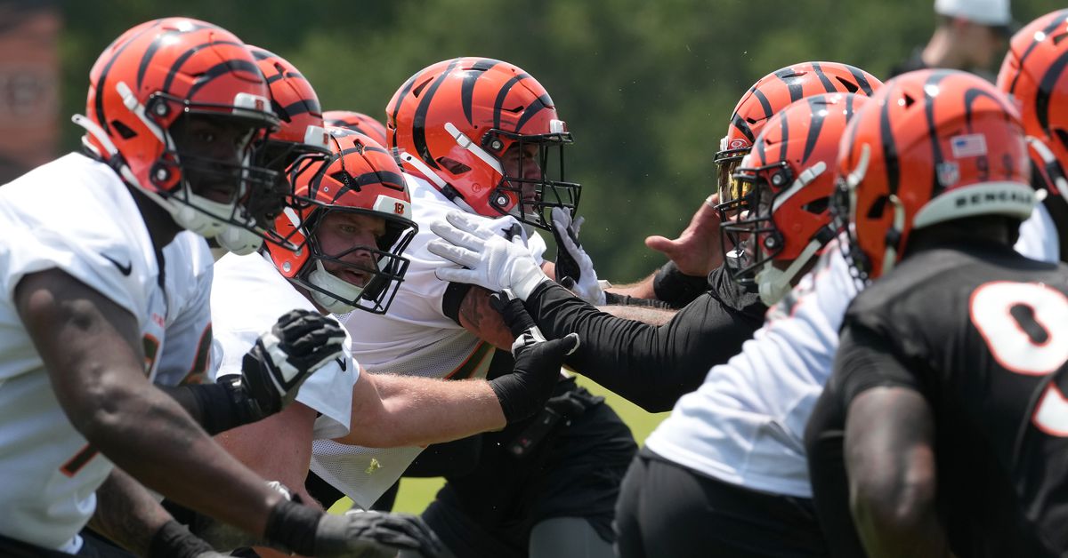 Drama-Rama at Bengals minicamp — The Orange and Black Insider