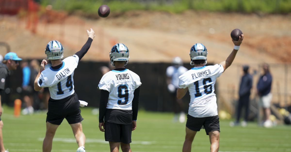 Reacts Results: Bryce Young leads among hopeful fans for the 2025 season