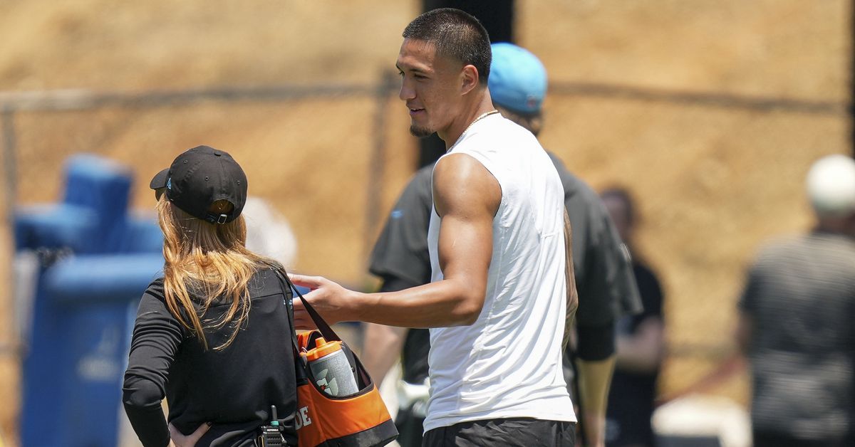 Carolina Panthers 2025 Offseason fan mailbag: Ask your June questions!