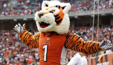 Bengals News: P.H.A.T. - Cincy Jungle