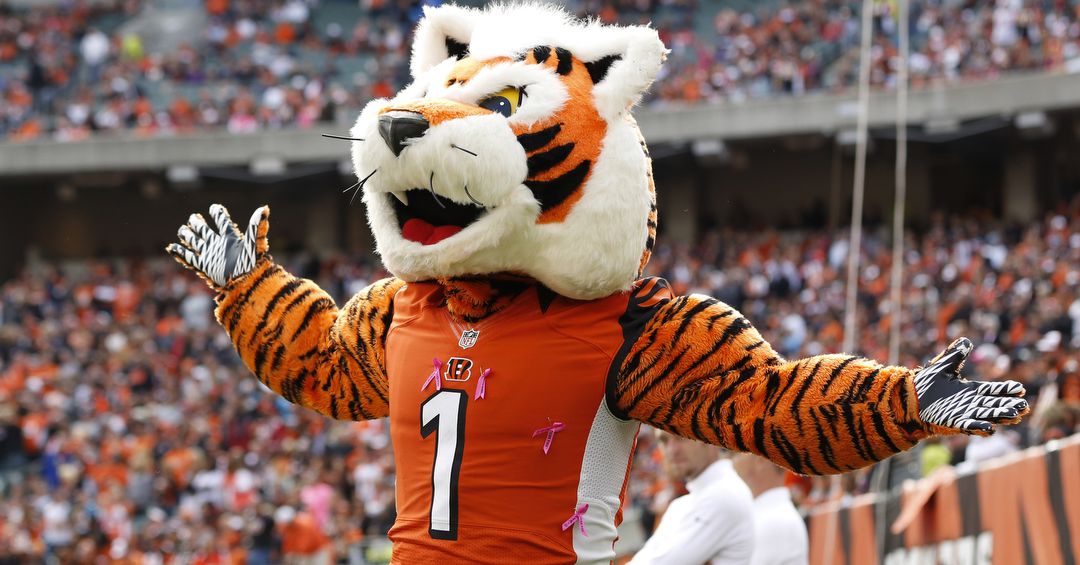 Bengals News: P.H.A.T. - Cincy Jungle