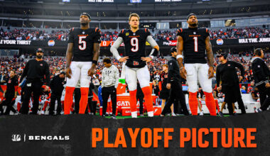 Bengals Playoffs Picture Rooting Guide