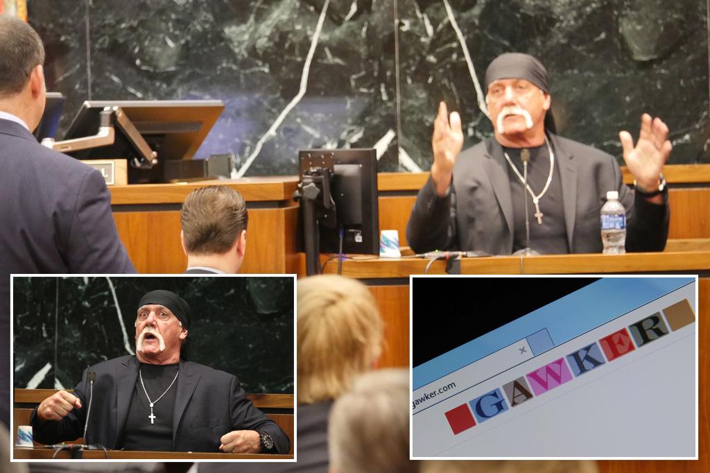 Hulk Hogan's $140M legal bodyslam of Gawker cheered after wrestler's death