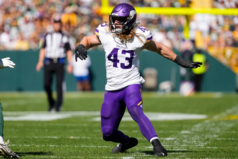 Minnesota Vikings outside linebacker Andrew Van Ginkel (43)Jeff Hanisch-Imagn Images