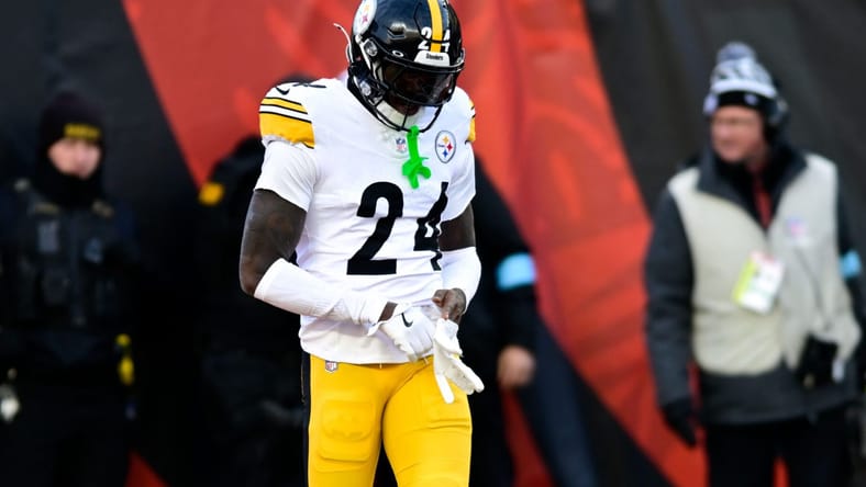 Pittsburgh Steelers CB joey Porter Jr.