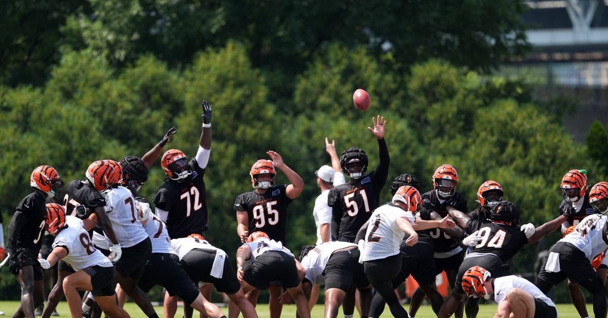 Bengals News (8/26): One down, one to go!