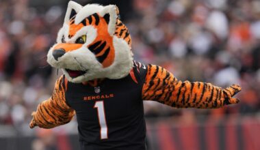 Bengals News (7/3): 2025 predictions for Cincinnati