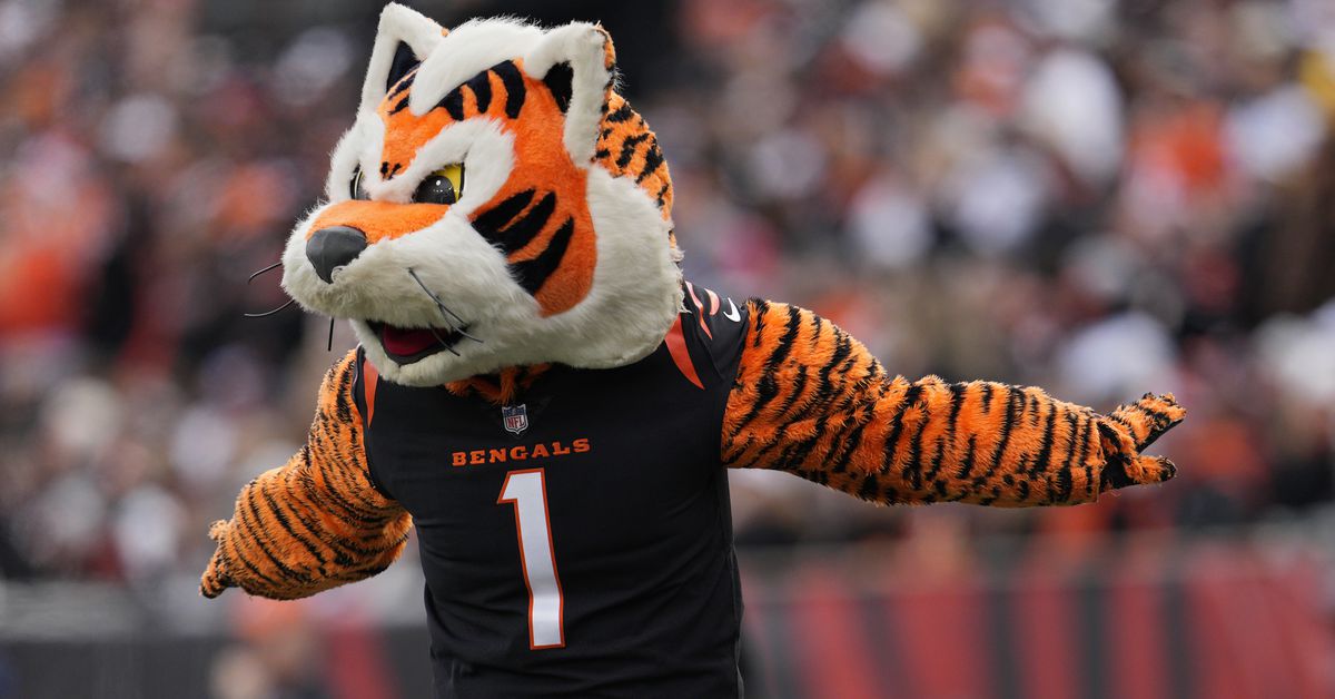 Bengals News (7/3): 2025 predictions for Cincinnati