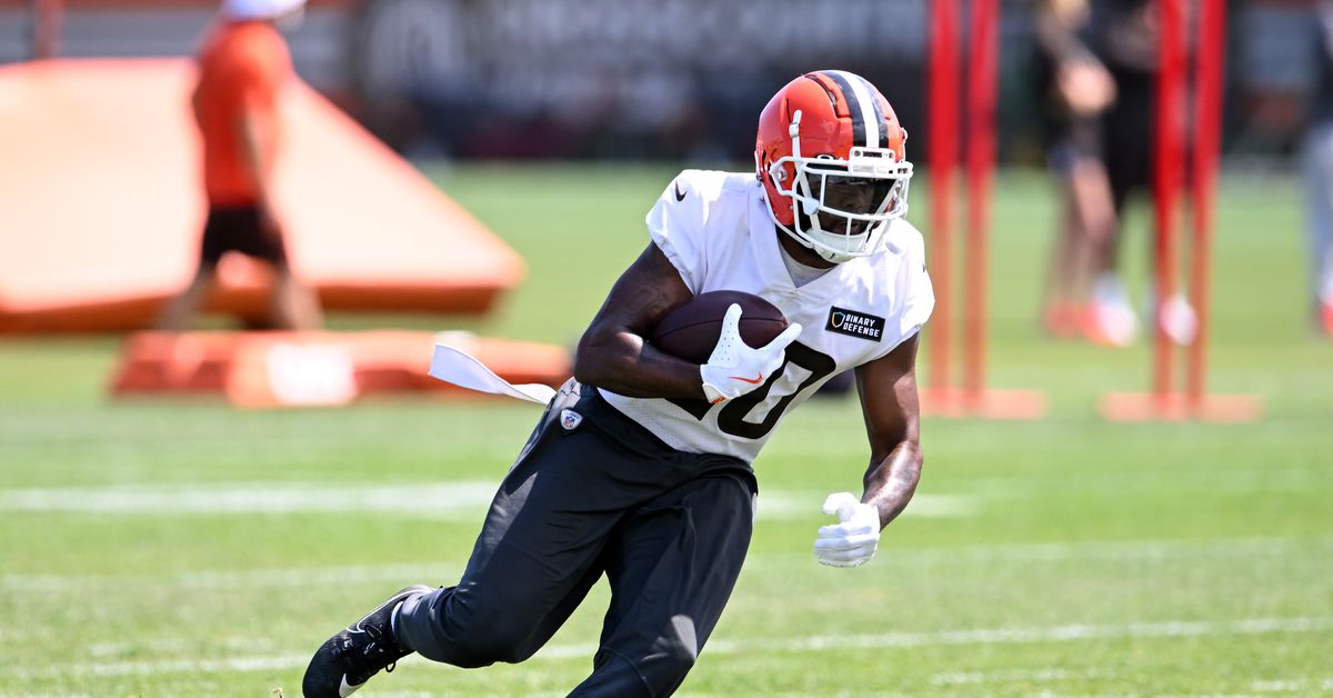 Cleveland Browns Training Camp 2025: RB Preview, Part 2 - Is a fullback part of the plan?