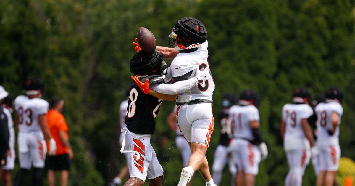 Cincinnati Bengals QB Joe Burrow mentors CB Josh Newton with film study
