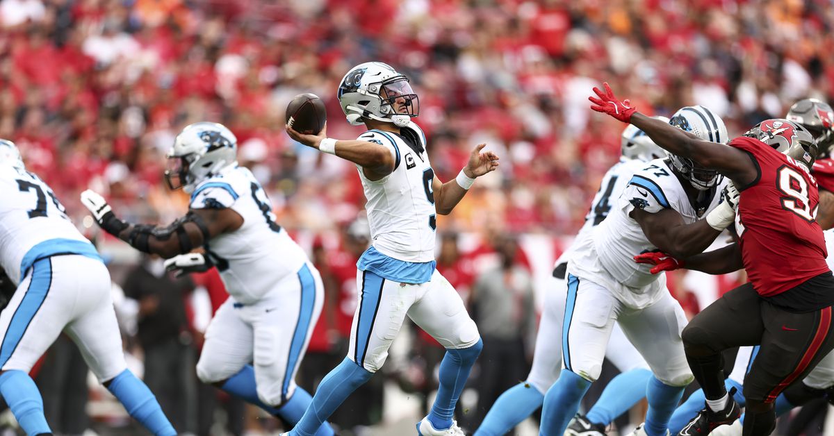 Panthers Reacts Survey: Who takes the NFC South?