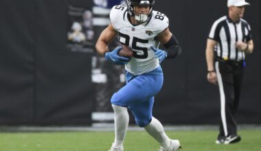 Jacksonville Jaguars 2025 state of the roster: Tight ends