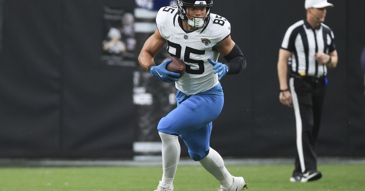 Jacksonville Jaguars 2025 state of the roster: Tight ends