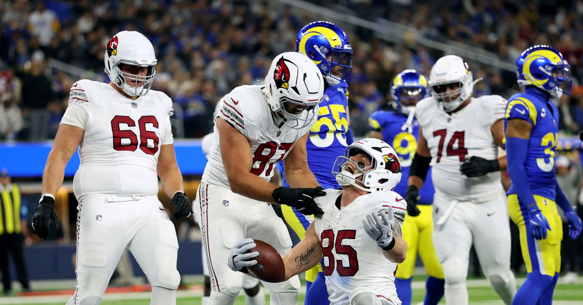 Arizona Cardinals have a healthy and dynamic tight end room heading into 2025