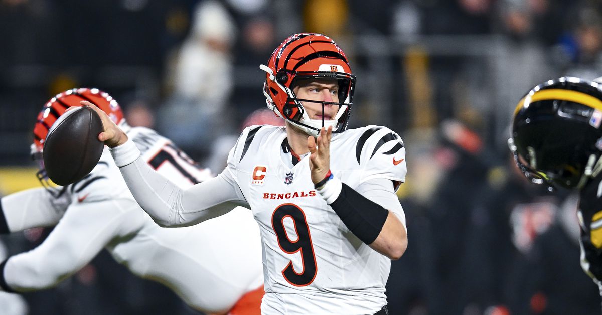 Pawn shop owner pleads guilty to selling Joe Burrow’s stolen items