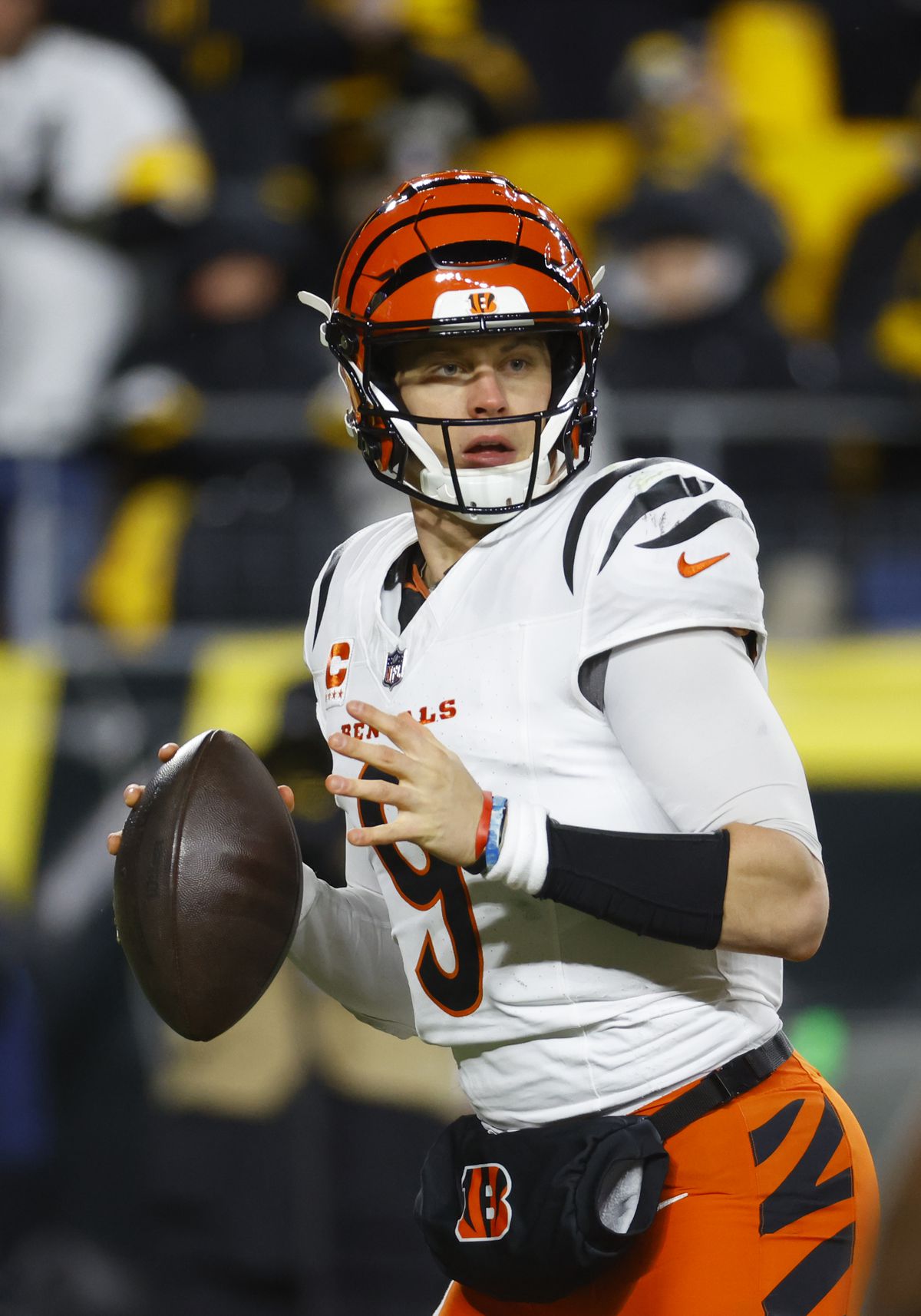 Cincinnati Bengals v Pittsburgh Steelers