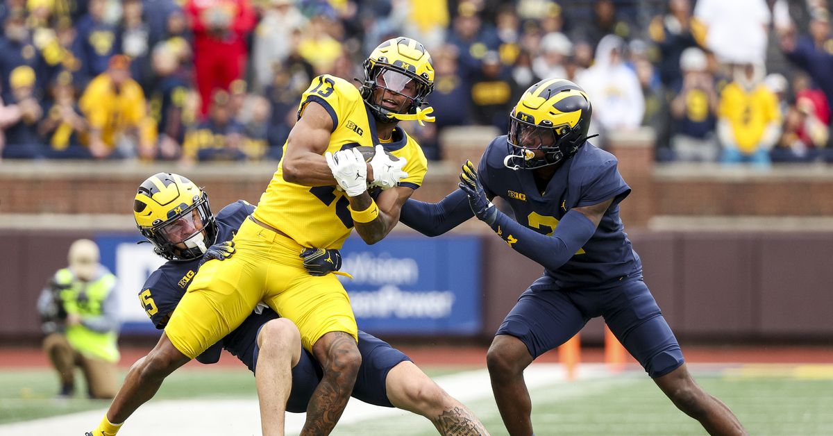 Two Michigan Football players named to under-the-radar watchlist