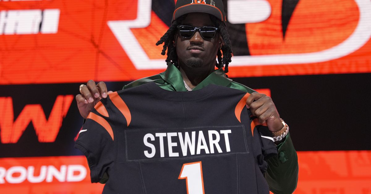 Raiders news: Fans pretty split on looking into Shemar Stewart