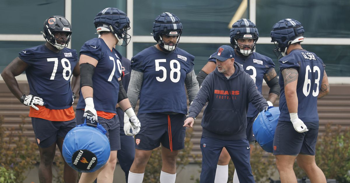 Which position should the Chicago Bears add some veteran depth to?