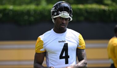 Analyst questions impact DK Metcalf will have in Pittsburgh Steelers offense