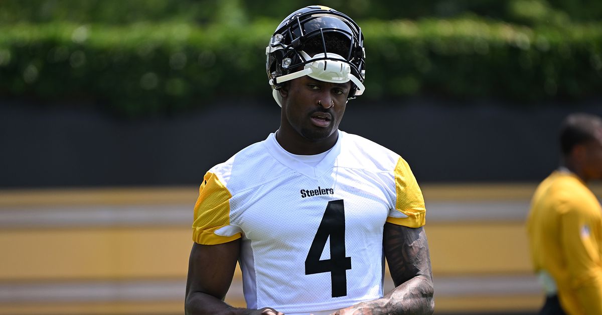 Analyst questions impact DK Metcalf will have in Pittsburgh Steelers offense