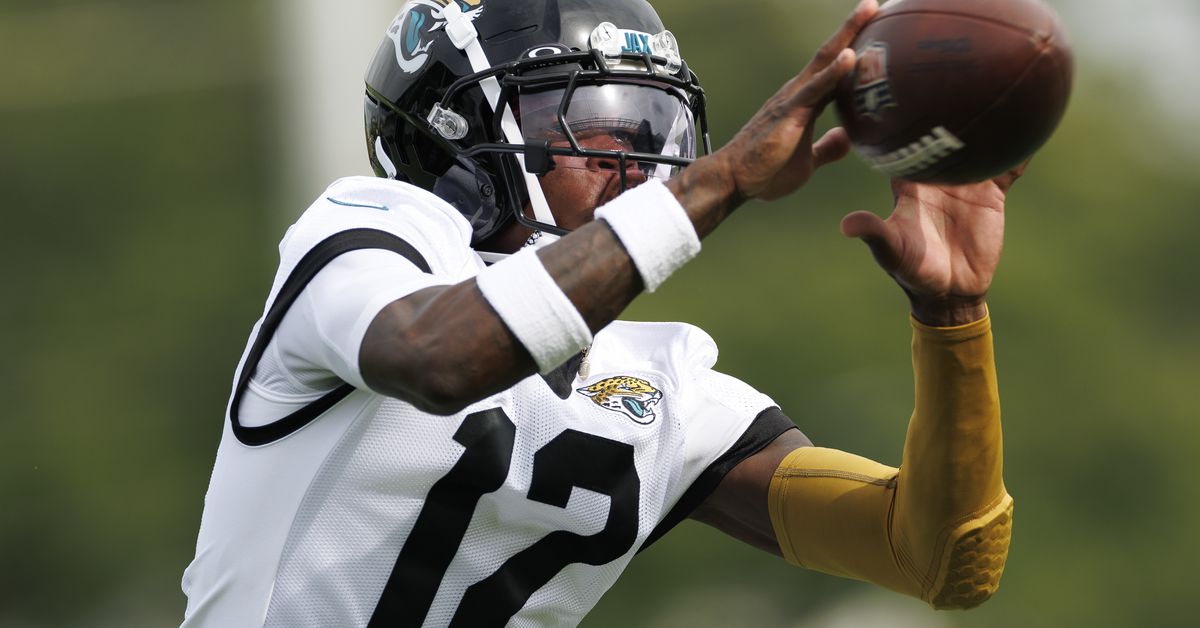 Jaguars Reacts Survey: What are your expectations for Travis Hunter?