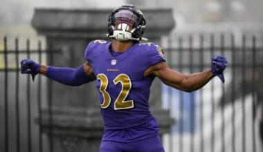 Pittsburgh Steelers interested in another former Ravens safety