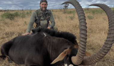 Yahoo entertainment home