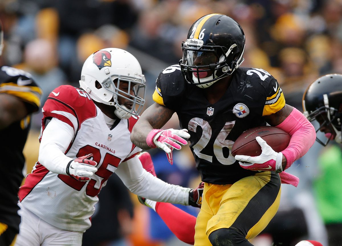 Arizona Cardinals v Pittsburgh Steelers