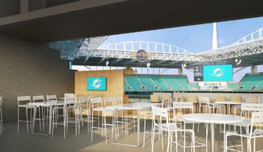 Miami Dolphins create new club for young professionals, with transportation included