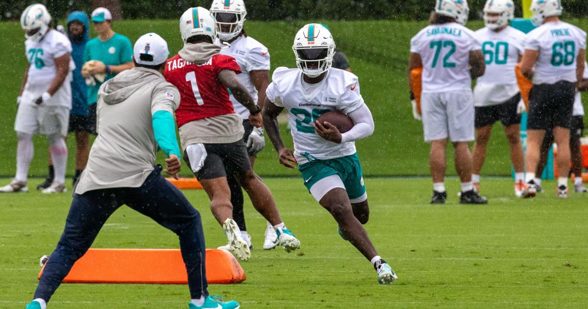 10 biggest bargains on the Miami Dolphins’ 2025 roster | National Sports