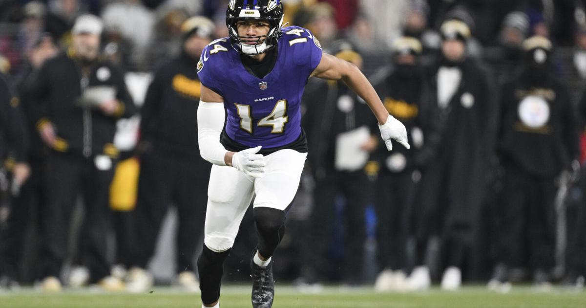 Ravens' Hamilton voted NFL' s top safety - The Star Democrat