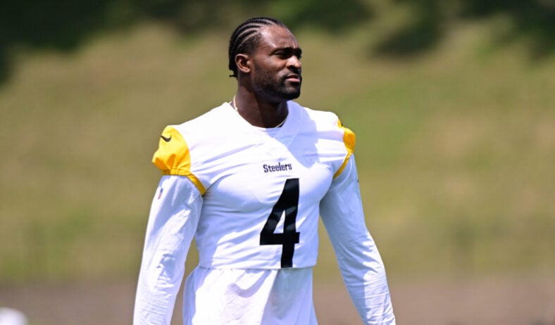 Pittsburgh Steelers DK Metcalf