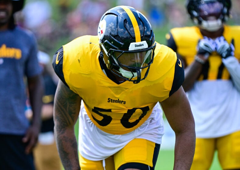 Pittsburgh Steelers Malik Harrison