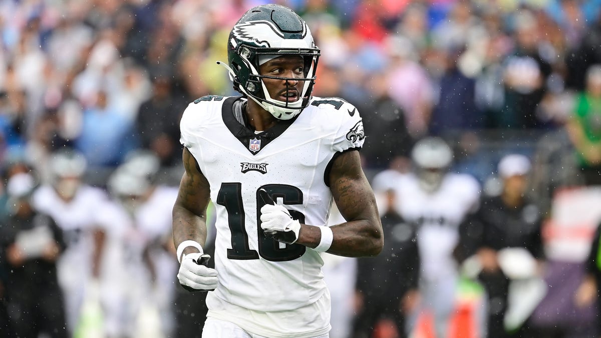 Arizona Cardinals training camp roster preview: WR Quez Watkins