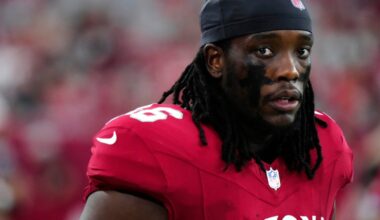 Arizona Cardinals training camp roster preview: DL Darius Robinson