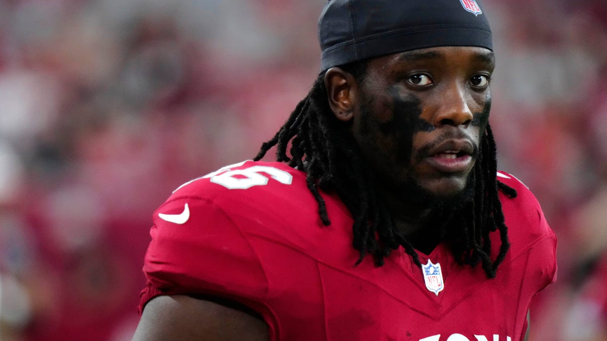 Arizona Cardinals training camp roster preview: DL Darius Robinson