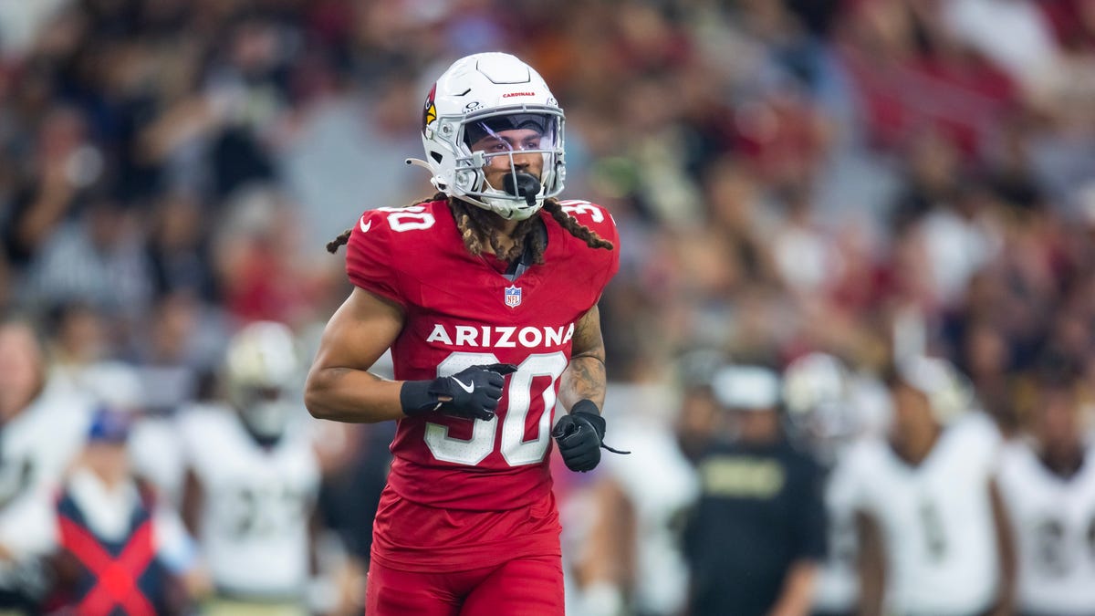 Arizona Cardinals training camp roster preview: WR Xavier Weaver