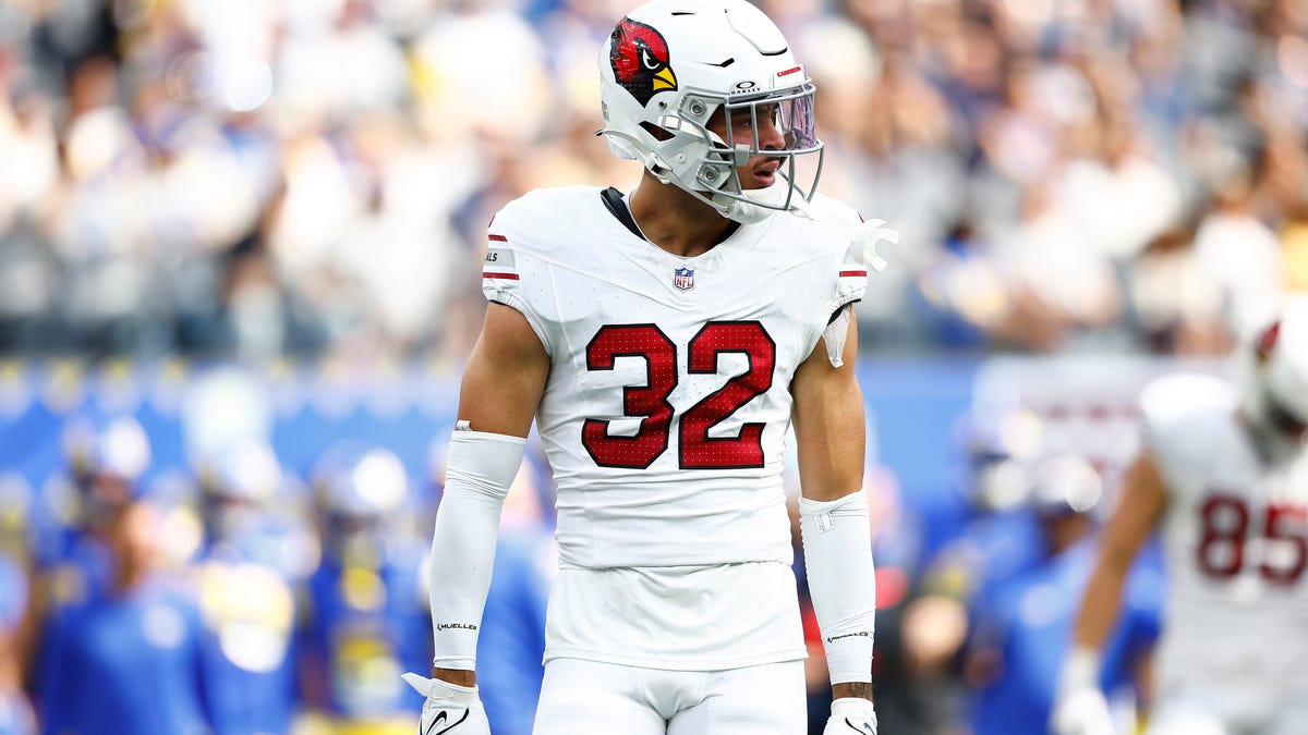 Arizona Cardinals training camp roster preview: S Joey Blount