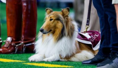 10 unbelivable Texas A&M football facts that will blow your mind