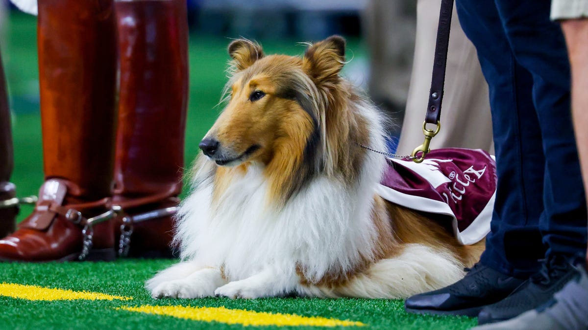 10 unbelivable Texas A&M football facts that will blow your mind