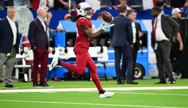 Arizona Cardinals training camp roster preview: WR Tejhaun Palmer