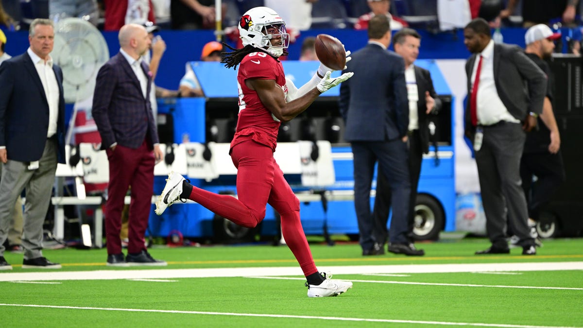 Arizona Cardinals training camp roster preview: WR Tejhaun Palmer