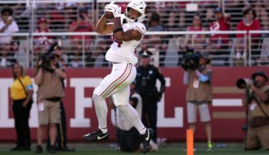 Arizona Cardinals training camp roster preview: TE Elijah Higgins