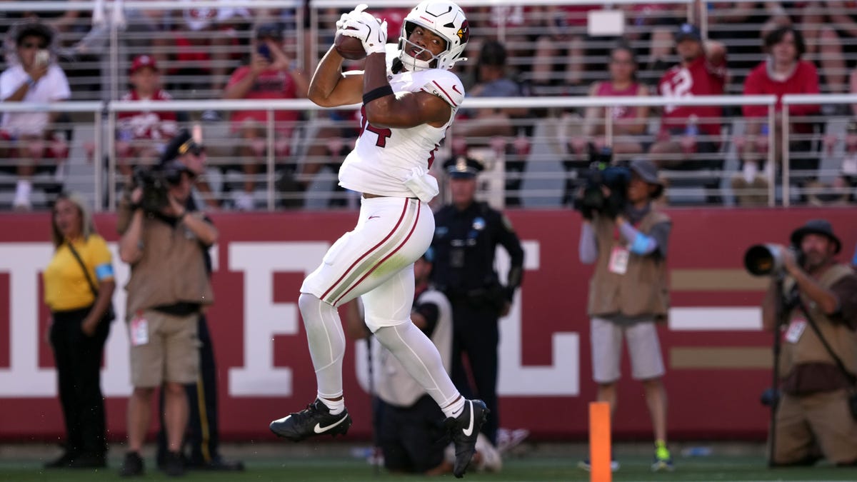 Arizona Cardinals training camp roster preview: TE Elijah Higgins