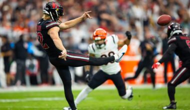 Arizona Cardinals training camp roster preview: P Blake Gillikin