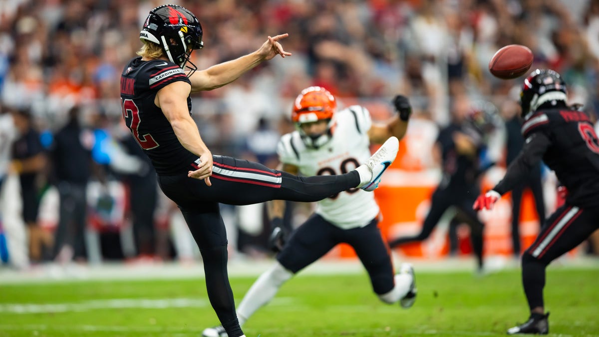 Arizona Cardinals training camp roster preview: P Blake Gillikin