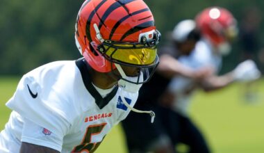 Bengals WR Tee Higgins gets some love in anonymous NFL poll, too