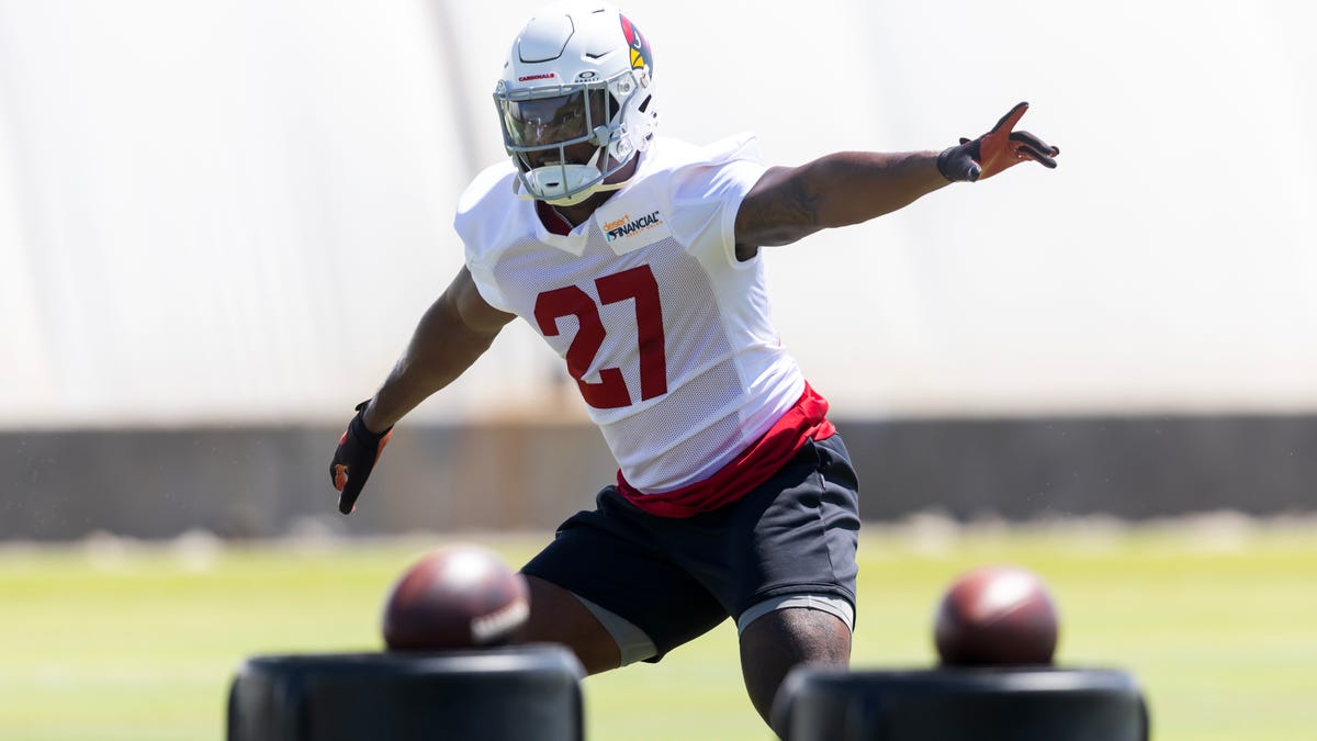Arizona Cardinals training camp roster preview: LB Akeem Davis-Gaither
