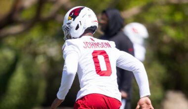 Arizona Cardinals training camp roster preview: CB Will Johnson